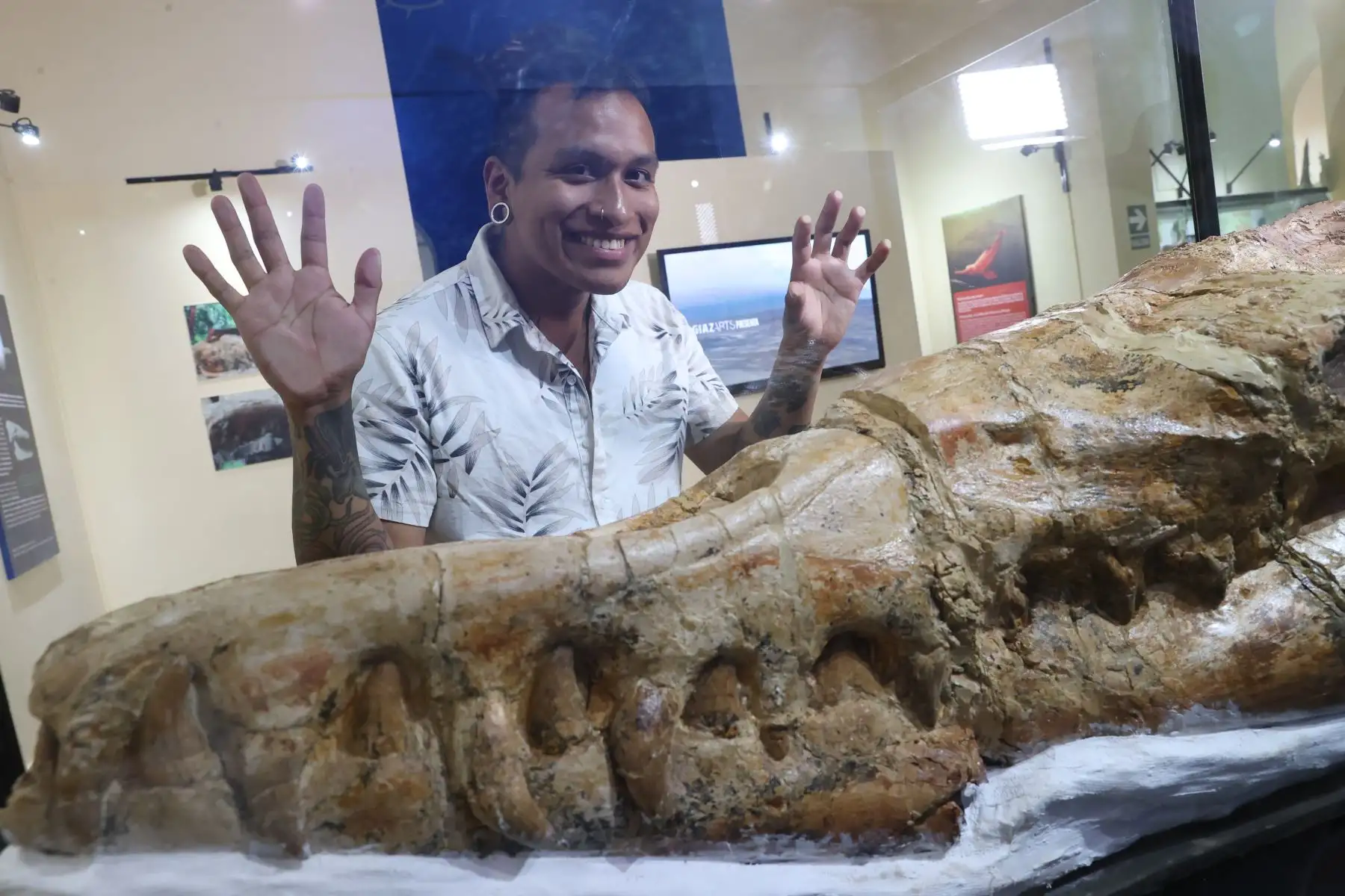 Su pasión por la naturaleza y los fósiles desde niño lo llevó a estudiar Biología y luego hacer especializaciones en Paleontología. Foto: ANDINA/Juan Carlos Guzmán