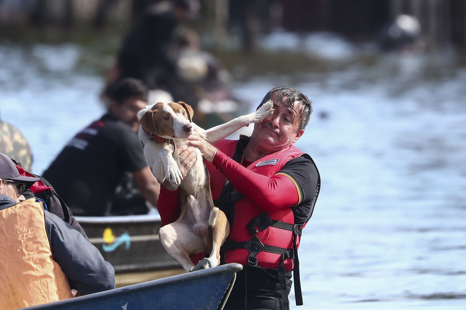 Voluntarios rescatan a un perro en una inundación en el río Gravataí, este martes en el barrio de Matias Velho, en Canoas, norte de Porto Alegre (Brasil). Foto: EFE