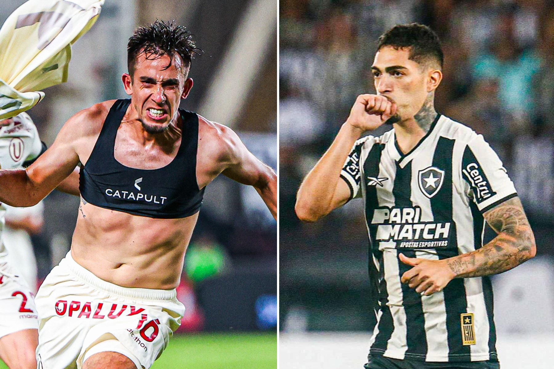 Universitario vs. Botafogo se enfrentarán por la fecha 5 de la Copa Conmebol Libertadores. 