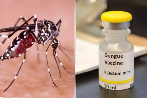 El dengue es una enfermedad transmitida por la picadura del Aedes Aegypti hembra, zancudo que también transmite el zika y la chikungunya.