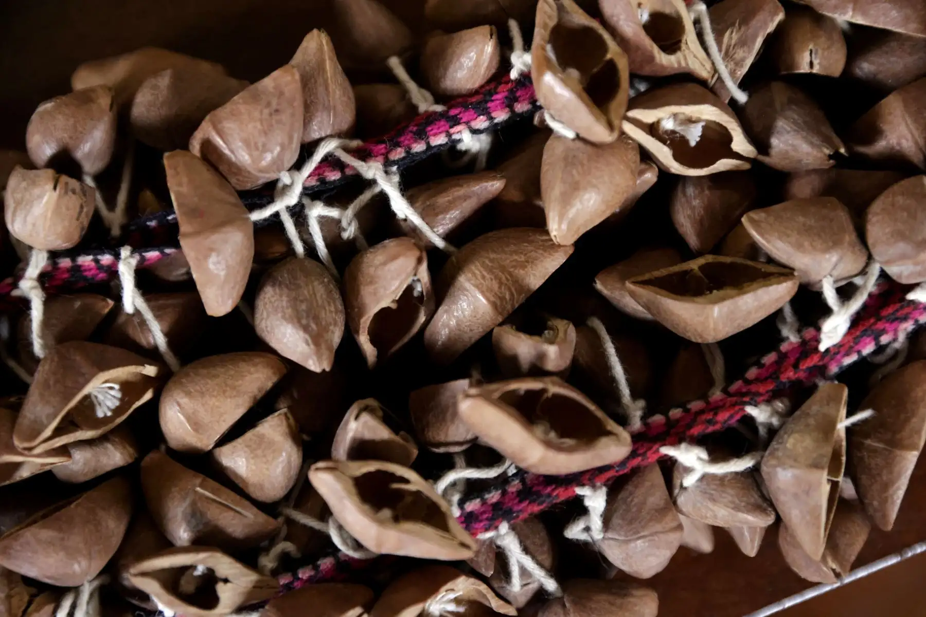 Pepa, como le dicen de cariño, no sospechó entonces que empezaba a moldear su vocación hacia la conservación de nuestra cultura ancestral. Foto: ANDINA/Luis Iparraguirre