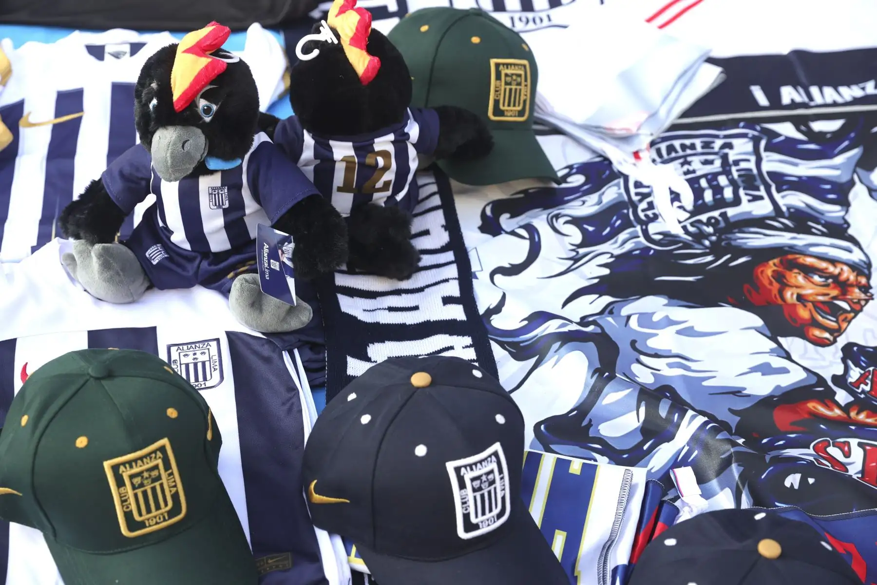 Imágenes previas al partido entre Alianza Lima y Colo  Colo de Chile  por la Copa Libertadores 2024 por la fecha 5 del Grupo A en el estadio Alejandro Villanueva de La Victoria.
Foto: ANDINA/Melina Mejía