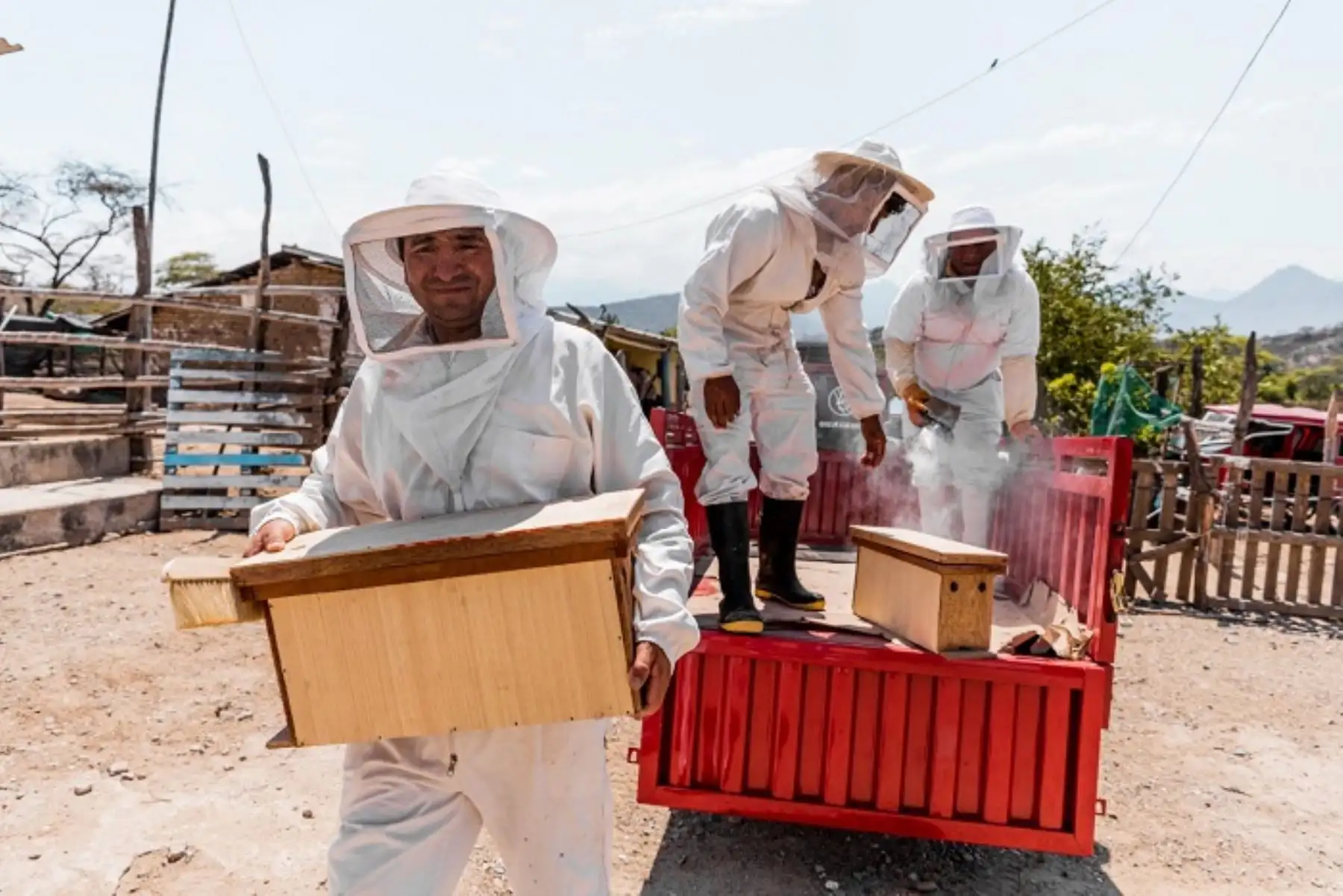 Midagri impulsa producción de miel de abeja en Piura Cajamarca, Apurímac y Junín