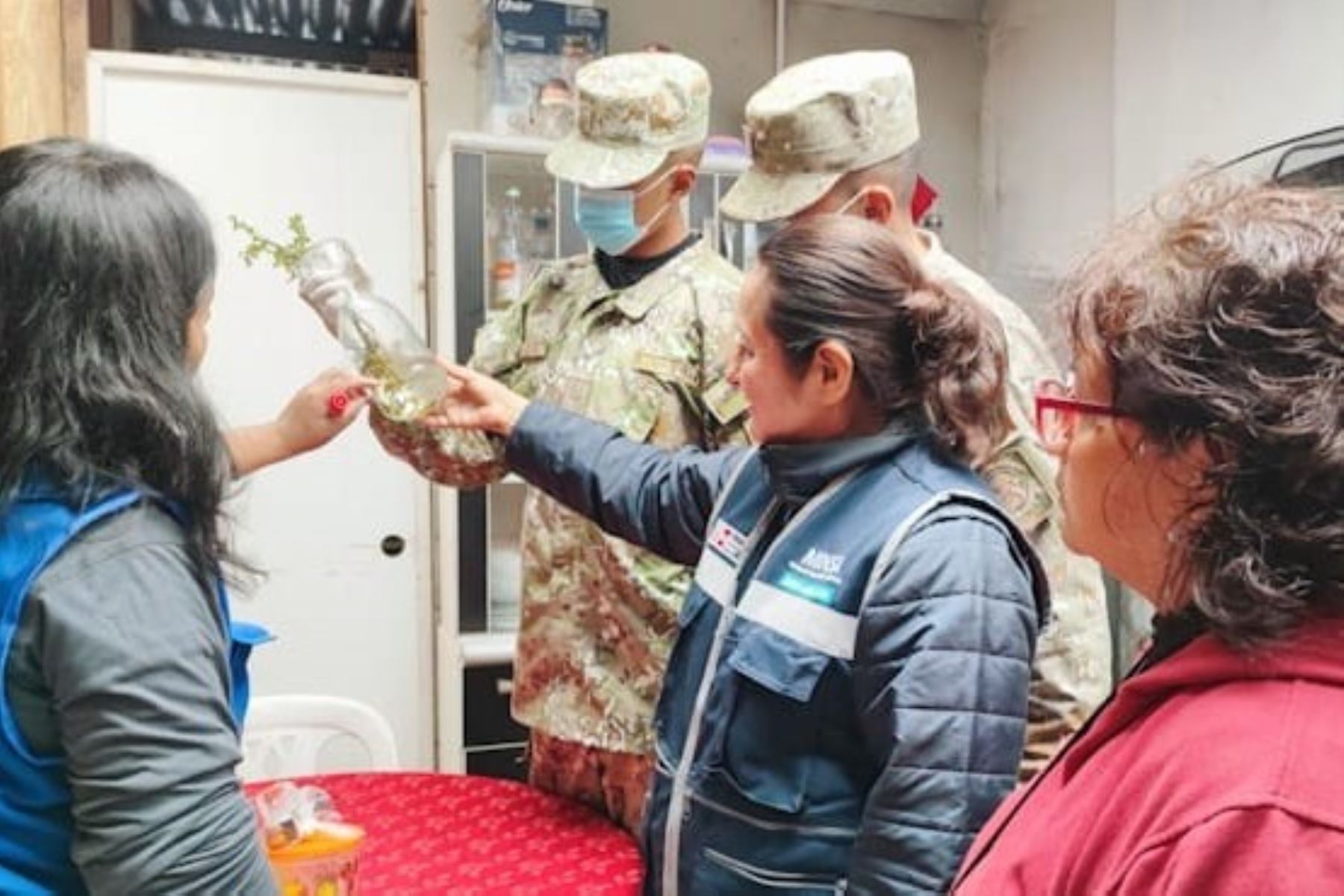 Dengue: inspeccionan 6,500 viviendas en Villa María del Triunfo y San Juan de Miraflores. Foto: ANDINA/Difusión.