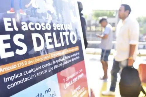 Ministra Fanny Montellanos exhorta a la población a denunciar estos delitos. Foto: Difusión