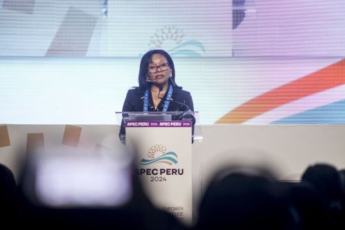 Photo: APEC Peru 2024