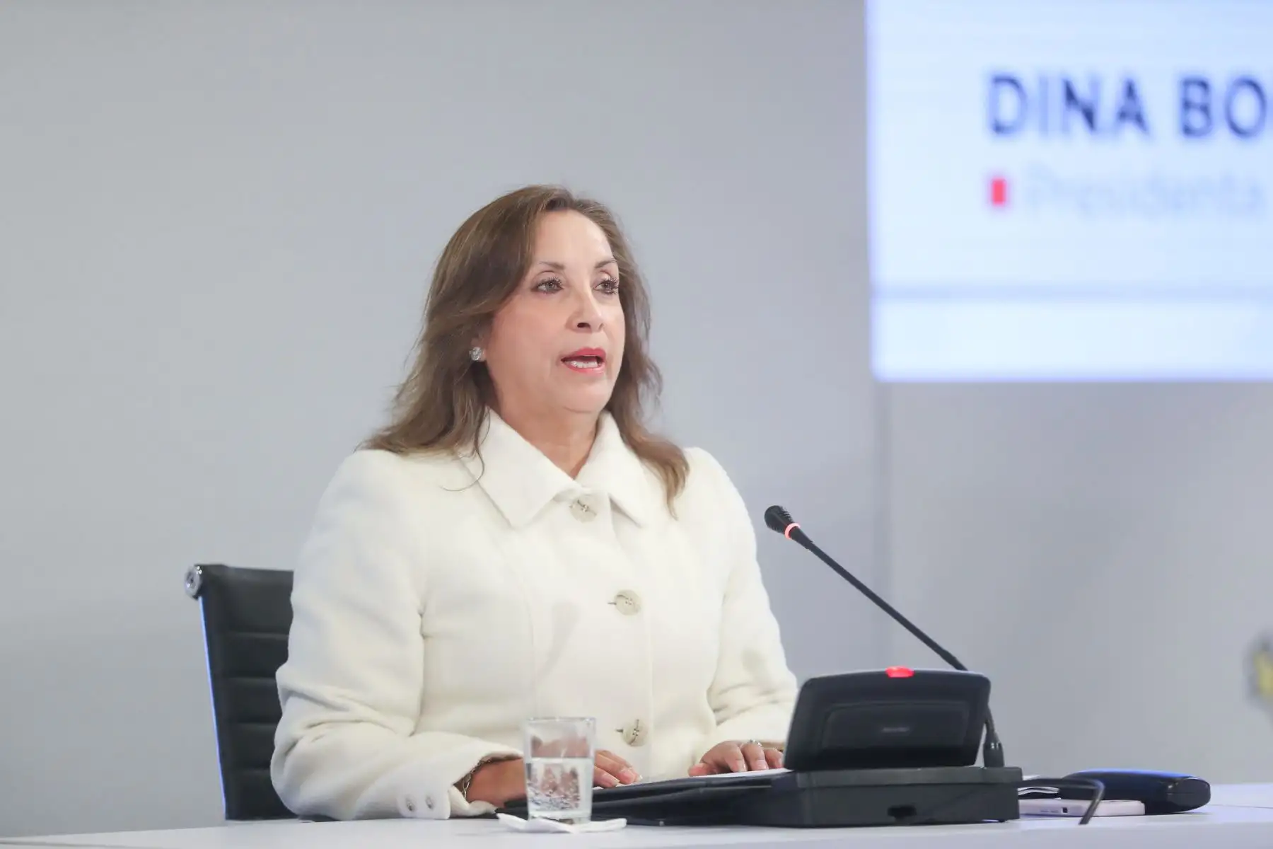 Foto: ANDINA/Prensa Presidencia.