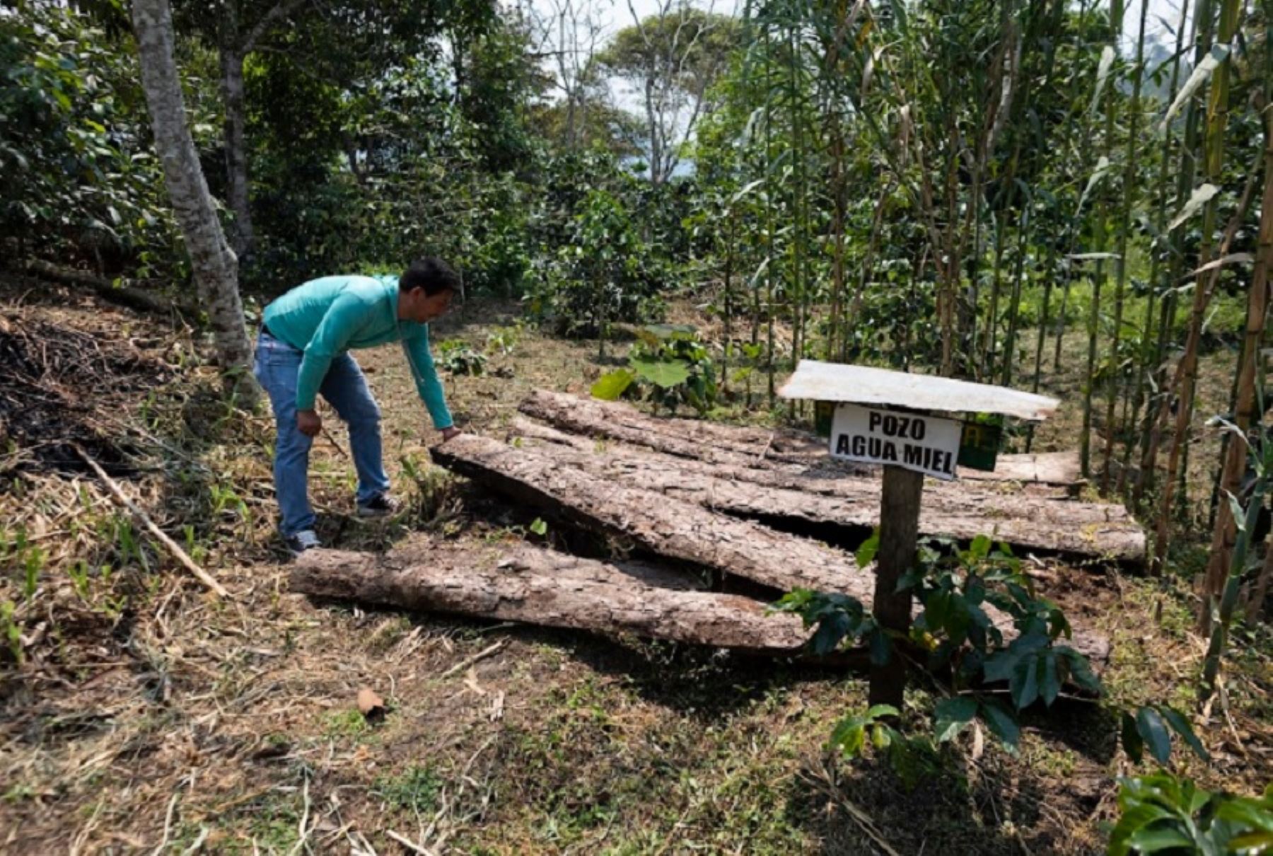 El Sistema de las Naciones Unidas en el Perú, liderado por la Oficina de Coordinación Residente, presentó su balance anual del impacto generado por el trabajo con el Perú para el desarrollo sostenible.