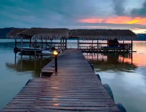 Sauce, el paradisiaco distrito ubicado en la región San Martín celebra este mes su aniversario de creación política con una serie de actividades. ANDINA/Difusión