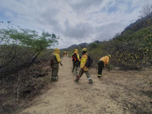 Guardaparques de Tumbes se preparan para combatir posibles incendios forestales en áreas naturales protegidas. Con el fin de la temporada de lluvias empieza el periodo de mayor riesgo de este tipo de siniestros. ANDINA/Difusión