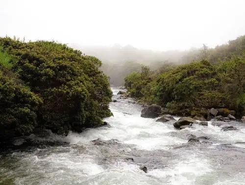 La creación de la nueva área de conservación regional en Cusco permitirá conservar más de 90,000 hectáreas de bosque ubicados en el distrito de Camanti, provincia cusqueña de Quispicanchi. ANDINA/Difusión
