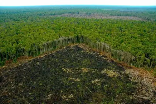 La sobrepoblación del planeta está generando riesgos para la permanencia de los seres humanos y se requiere una rápida acción para recuperar los ecosistemas degradados y asegurar una mejor sostenibilidad y disponibilidad del suelo y el agua
