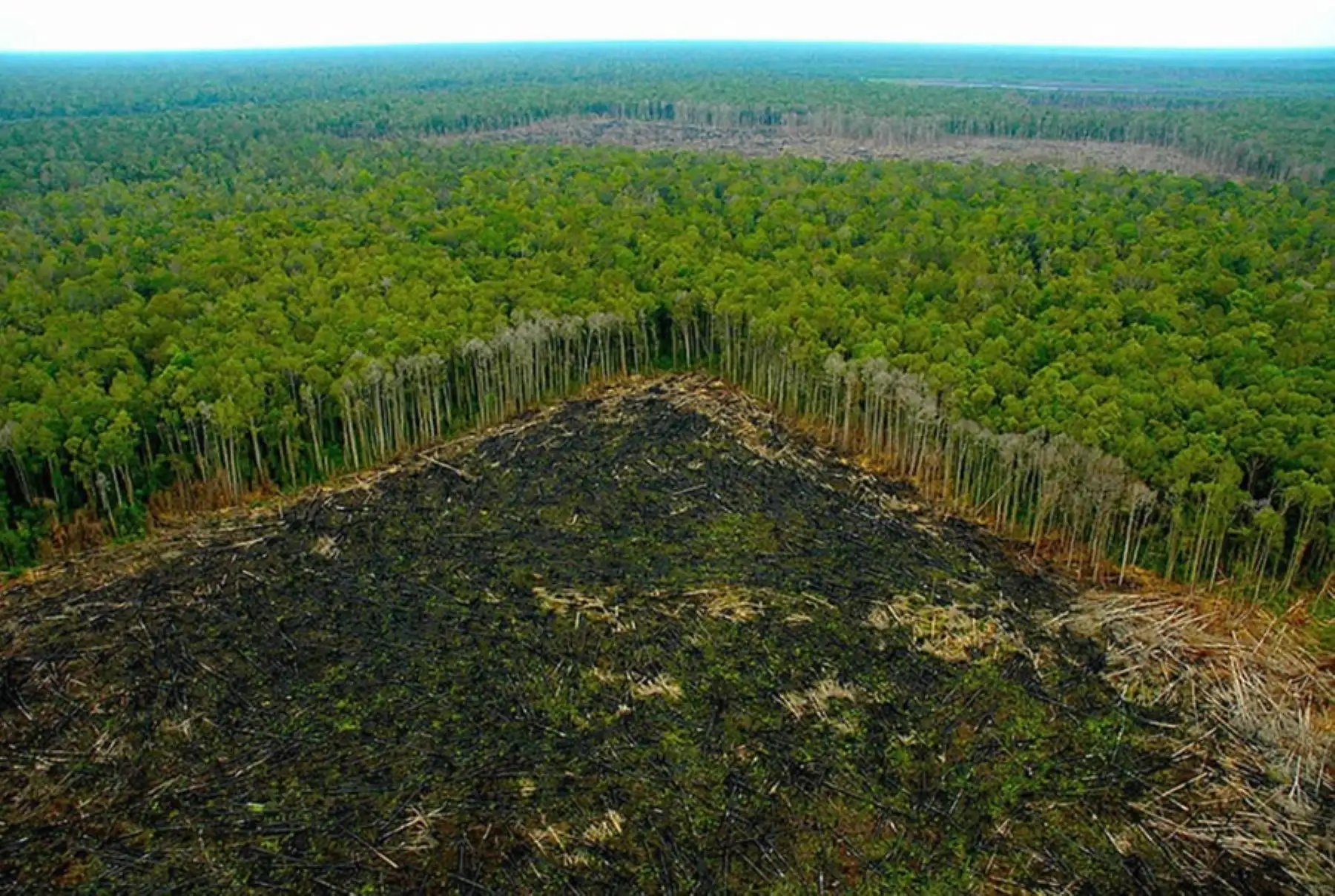 La sobrepoblación del planeta está generando riesgos para la permanencia de los seres humanos y se requiere una rápida acción para recuperar los ecosistemas degradados y asegurar una mejor sostenibilidad y disponibilidad del suelo y el agua