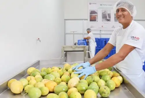 Con el fin de promover cultivos con mayor rentabilidad y dar un valor agregado a los mismos, la Universidad Nacional Agraria La Molina (UNALM) inauguró un moderno Centro de Procesamiento de Alimentos (CPA) en su sede de Pucayacu, en la ciudad de Tarapoto, región San Martín, abriendo así el camino al desarrollo económico e industrial de comunidades y emprendimientos de la región.