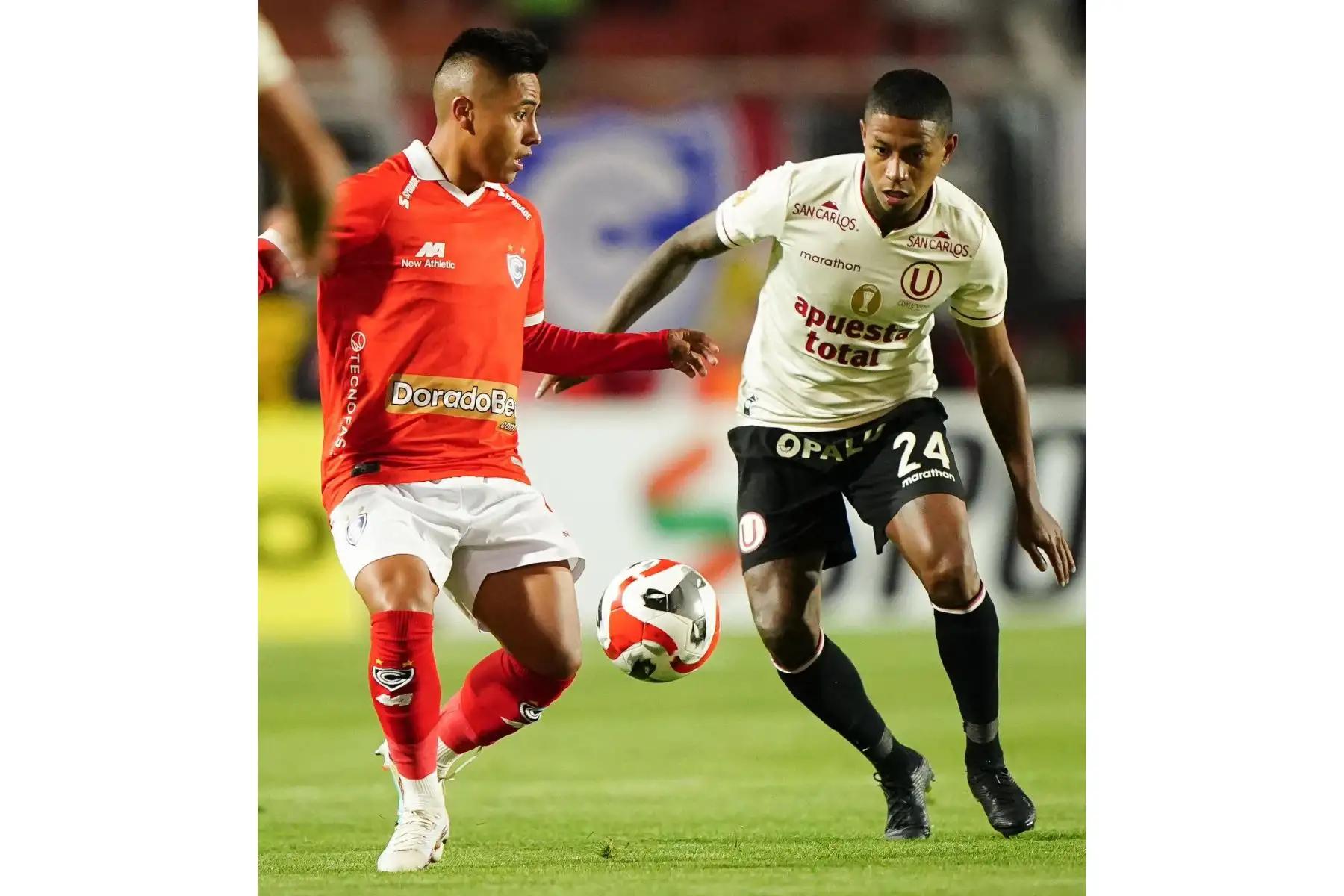 ¿Pierde el Apertura? Universitario cede el primer puesto a Sporting Cristal. El jujugador de Universitario de Deportes, Andy Polo disputa el balón con Alexander Lecaros del Cienciano. Foto: ANDINA/Liga 1