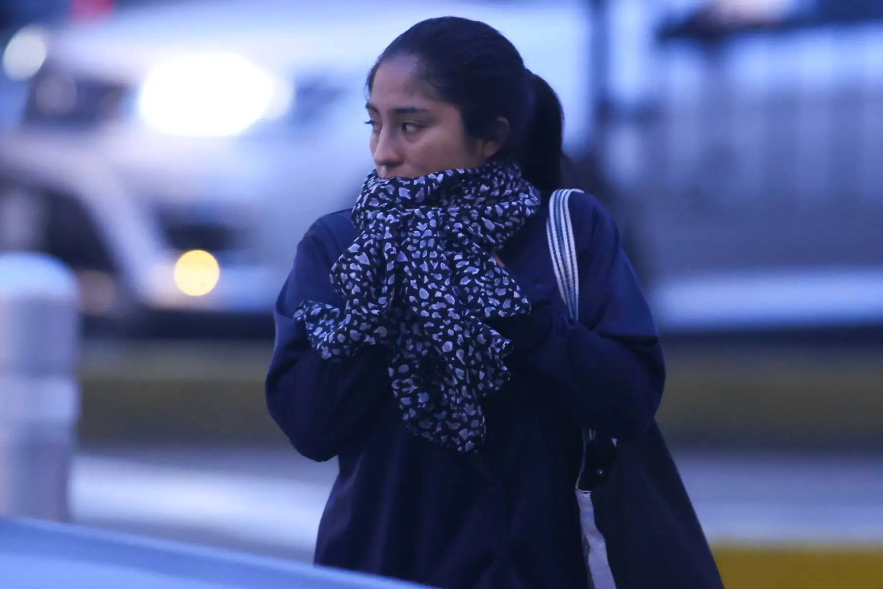 Durante transición estacional al otoño, se produce un reajuste en las condiciones climáticas que anticipa la llegada del invierno, especialmente durante las noches.  Foto: ANDINA/ Carlos Lezama Villantoy
