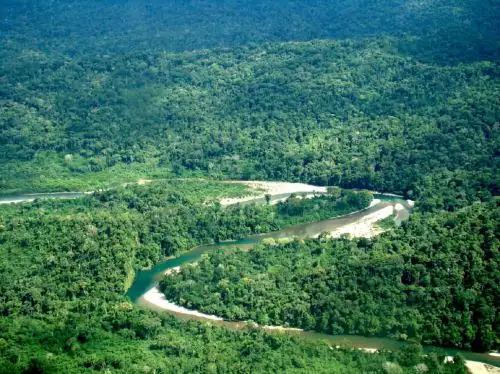 El Ministerio de Cultura oficializó la categorización de la Reserva Indígena Sierra del Divisor Occidental, que comprende territorios de Loreto y Ucayali. La medida beneficia a pueblos indígenas en situación de aislamiento.