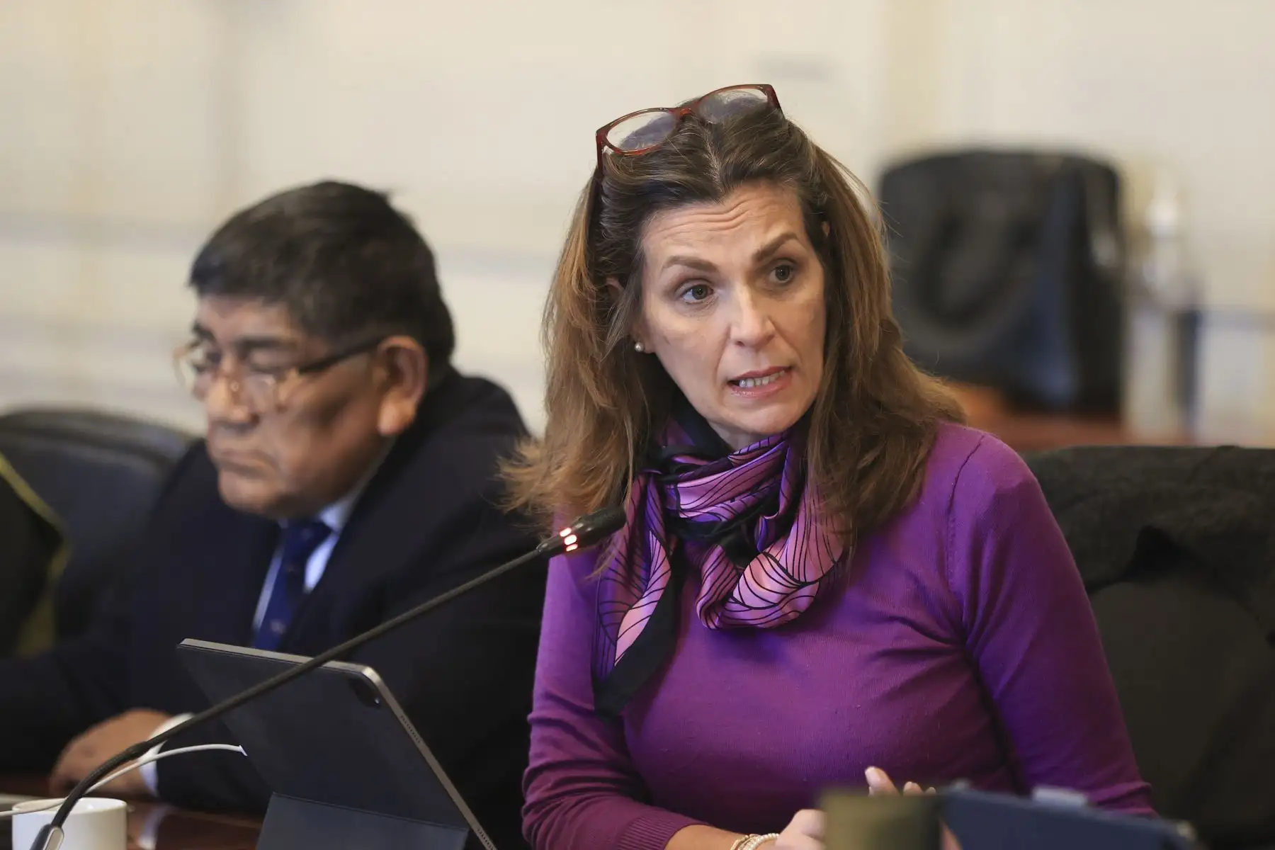 La ministra de Vivienda, Construcción y Saneamiento, Hania Pérez de Cuéllar, participa en la sesión del Consejo de Ministros en Palacio de Gobierno, en el que la presidenta Dina Boluarte coordina, entre otros temas, las acciones para continuar enfrentando la epidemia del dengue en el país. Foto: ANDINA/Presidencia