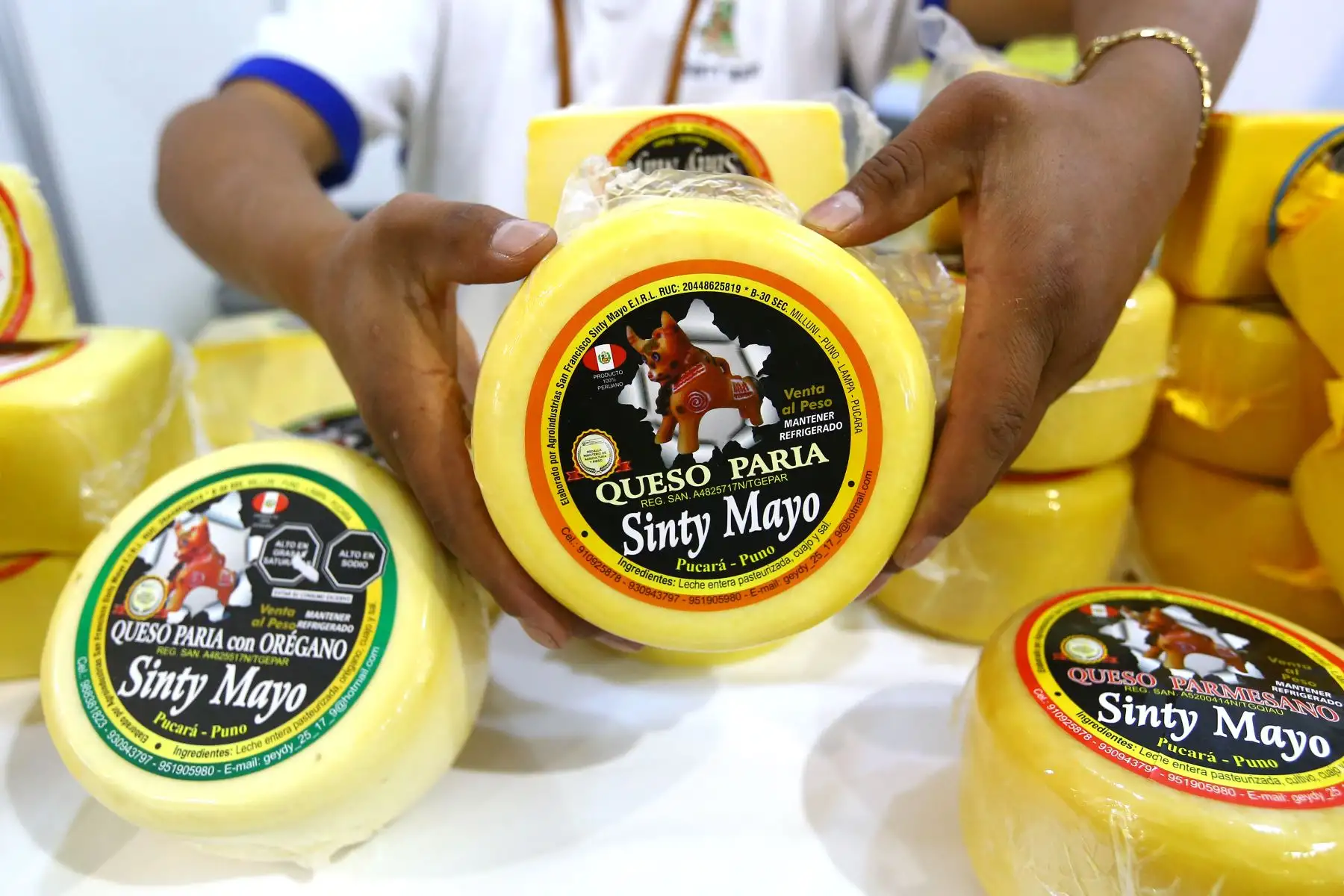 Con la finalidad de impulsar espacios para la promoción y comercialización de quesos, elaborados por pequeños y medianos productores de 17 regiones del país, el Ministerio de Desarrollo Agrario y Riego , inaugura la Segunda Edición del Salón del Queso Peruano.
Foto: ANDINA/Eddy Ramos