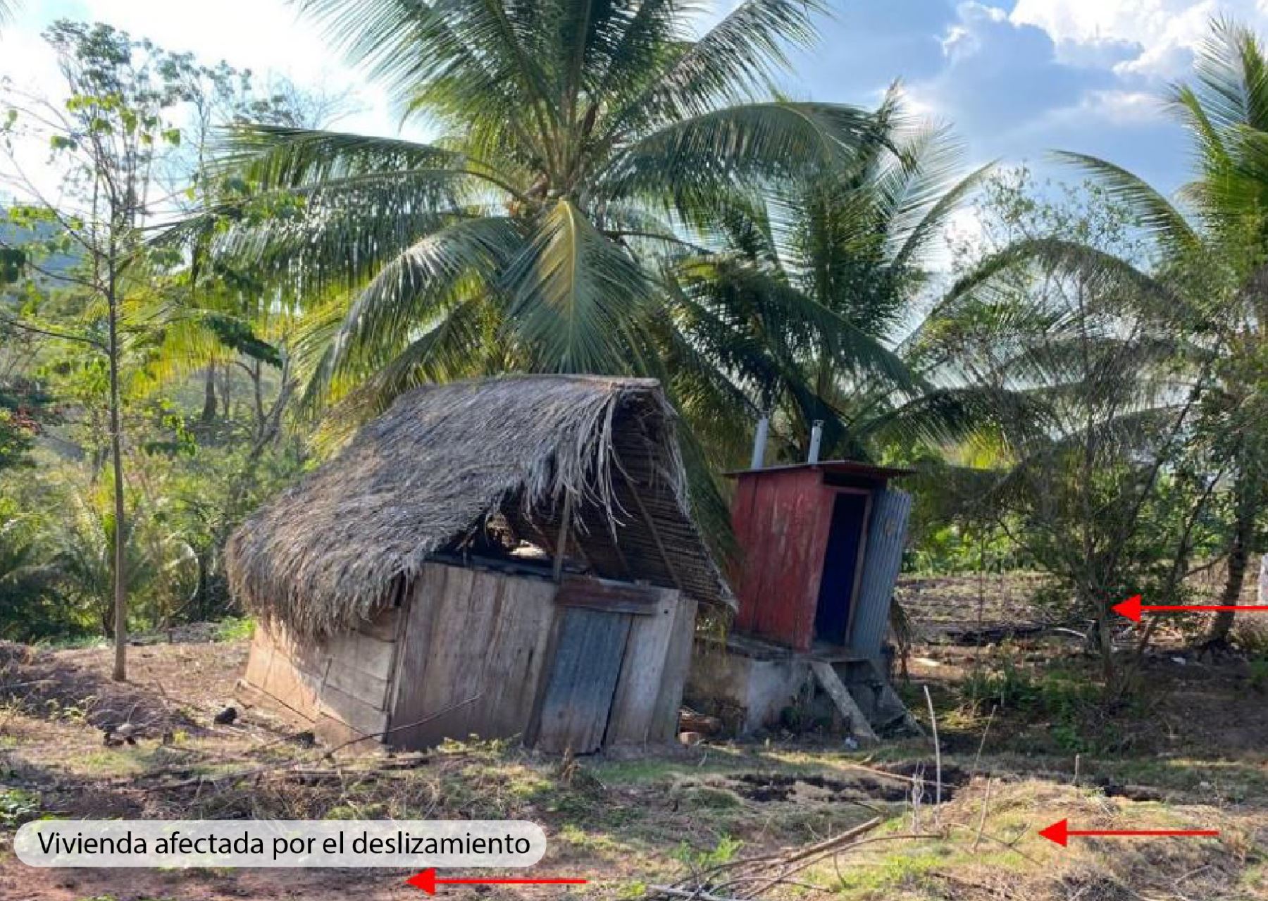 Ingemmet recomendó la reubicación de las viviendas afectadas por el deslizamiento registrado en el centro poblado Poloponta, ubicado en la provincia de Lamas, región San Martín. ANDINA/Difusión