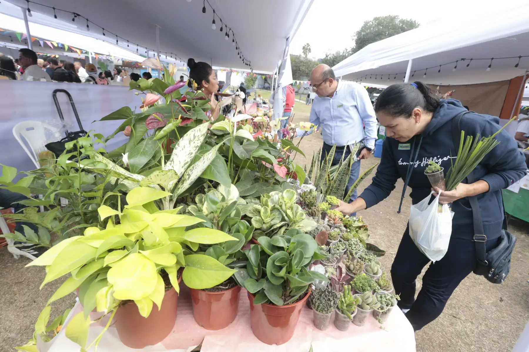 El ministerio del Ambiente realiza el 5° (Quinto) Festival de la Biodiversidad, con más de 150 emprendimientos sostenibles de diferentes regiones del país Foto: ANDINA/Vidal Tarqui