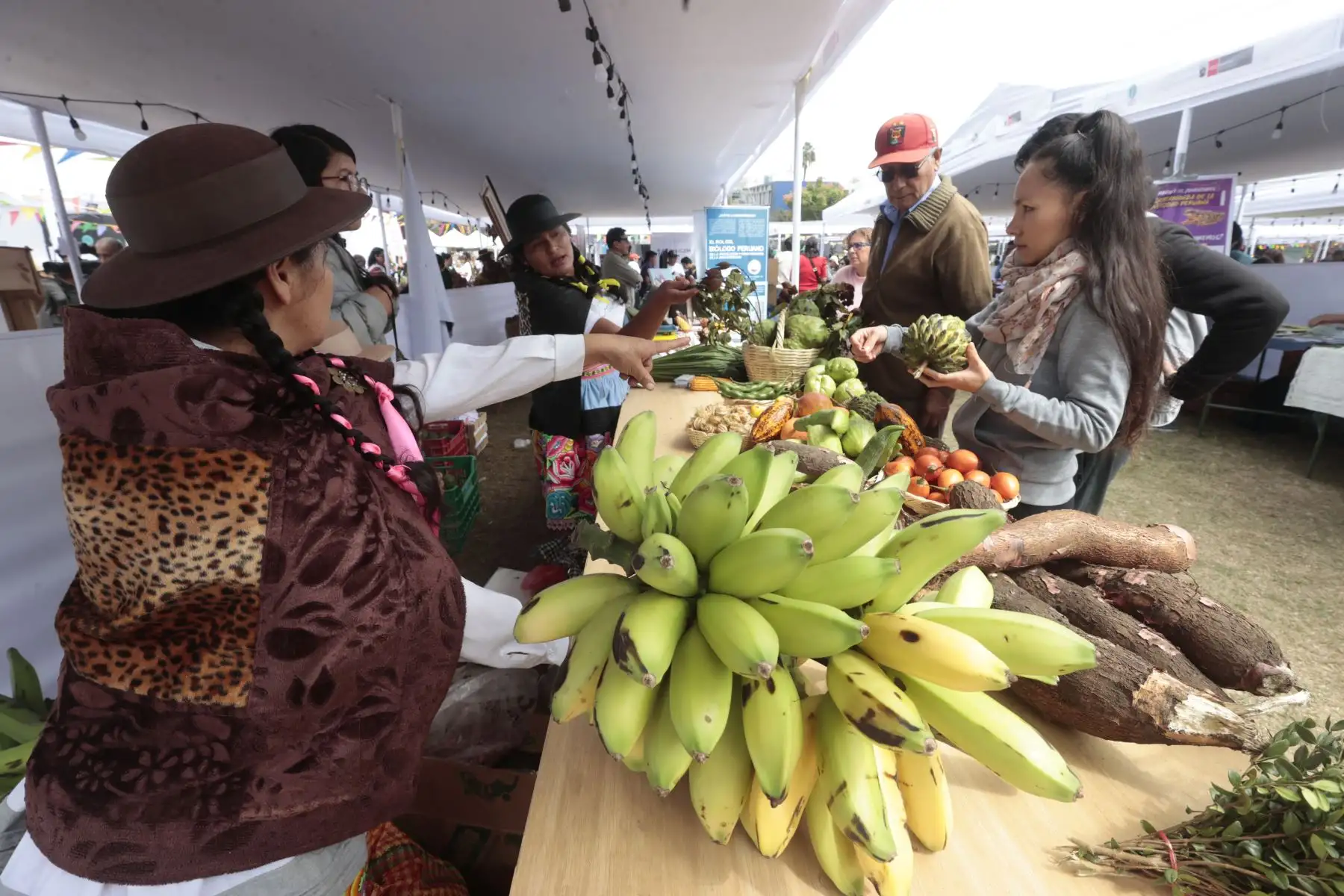 El ministerio del Ambiente realiza el 5° (Quinto) Festival de la Biodiversidad, con más de 150 emprendimientos sostenibles de diferentes regiones del país Foto: ANDINA/Vidal Tarqui
