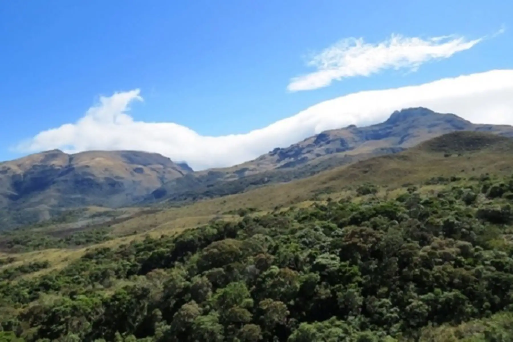 Se cumple con la Meta 3 a escala regional en Perú, relativa a la aplicación del enfoque ecosistémico en el Corredor Económico Transversal Norte del Perú (TEC Norte).