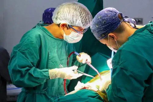 Cirujanos extirpan parte del pulmón a joven universitario para salvarle la vida. Foto: ANDINA/Difusión