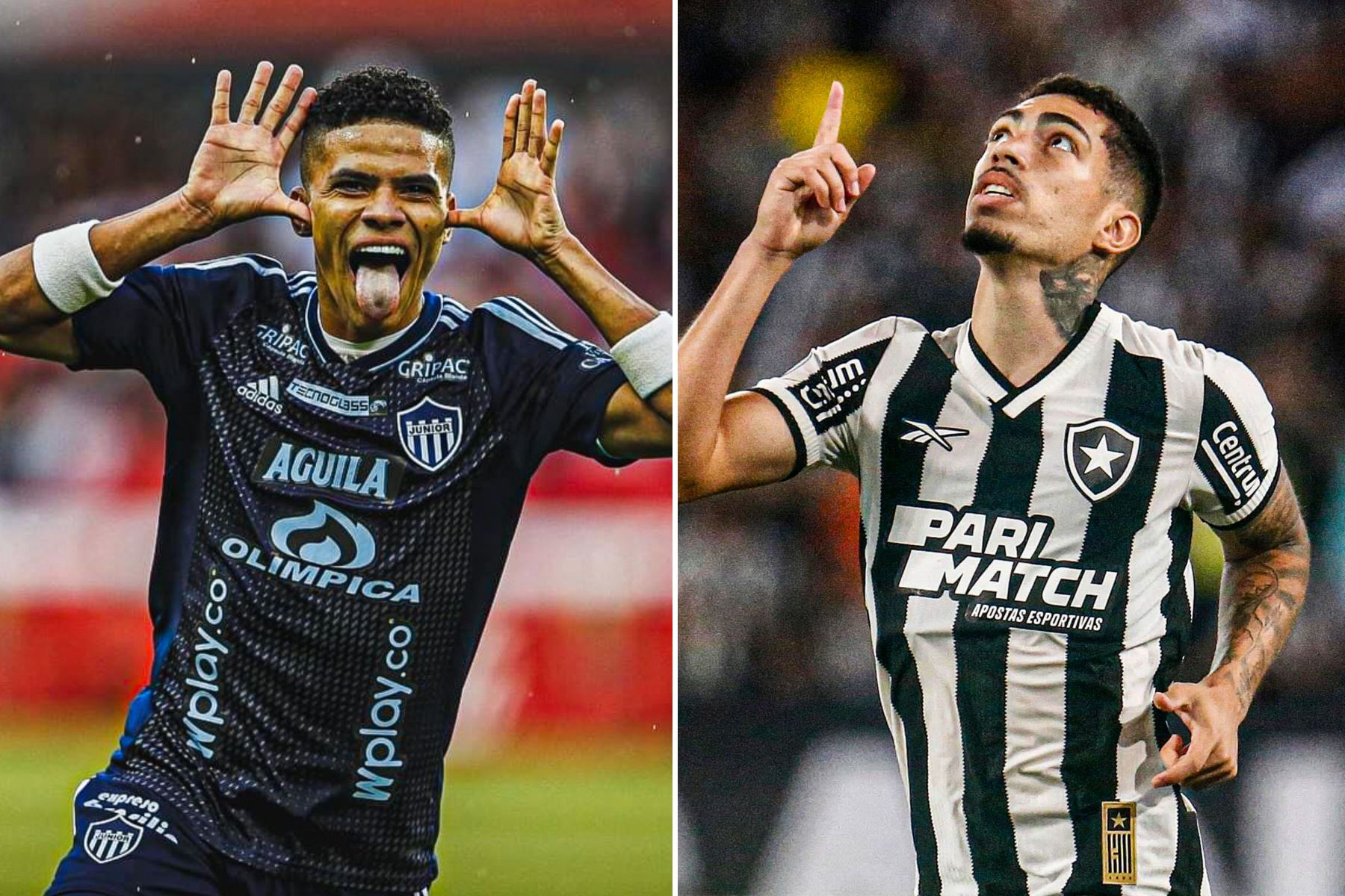 Junior vs. Botafogo por la Copa Libertadores 2024.