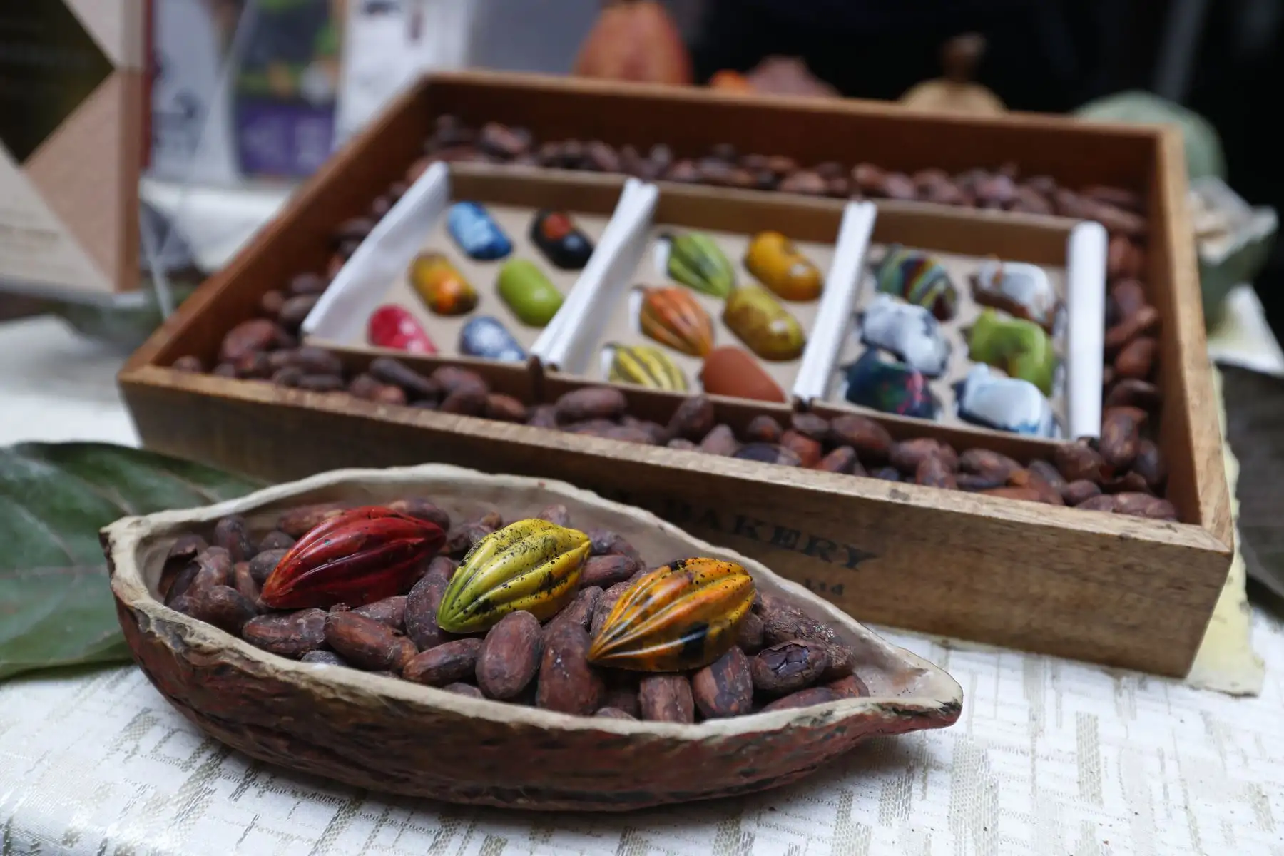 ANDINA/Daniel Bracamonte. Ucayali: Gore pone en marcha estrategia para mejorar calidad del cacao y elevar producción