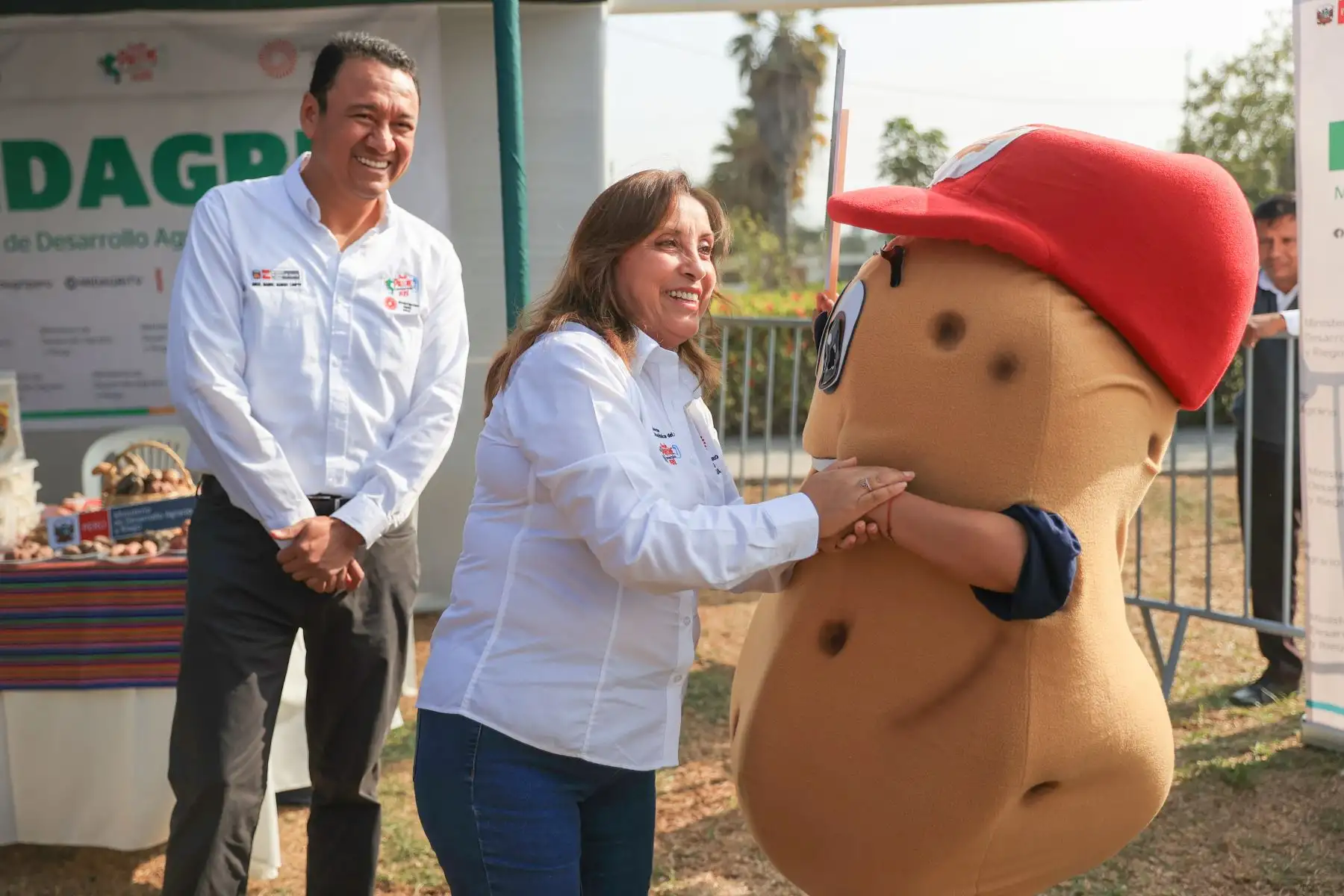 Presidenta Boluarte participa en lanzamiento de feria en Día Internacional de la Papa. Foto: ANDINA/Prensa Presidencia