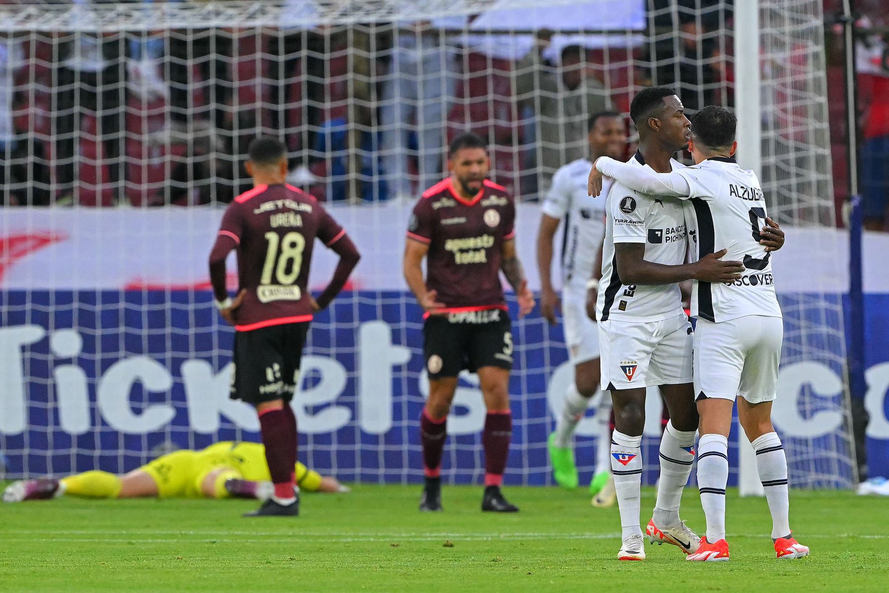 El mediocampista argentino de la Liga de Quito, Lisandro Alzugaray (R), celebra después del gol del delantero paraguayo Alex Arce durante el partido de vuelta de la fase de grupos de la Copa Libertadores entre la Liga de Quito de Ecuador y el Universitario de Perú en el Estadio Rodrigo Paz Delgado de Quito, el 28 de mayo de 2024. Foto: AFP