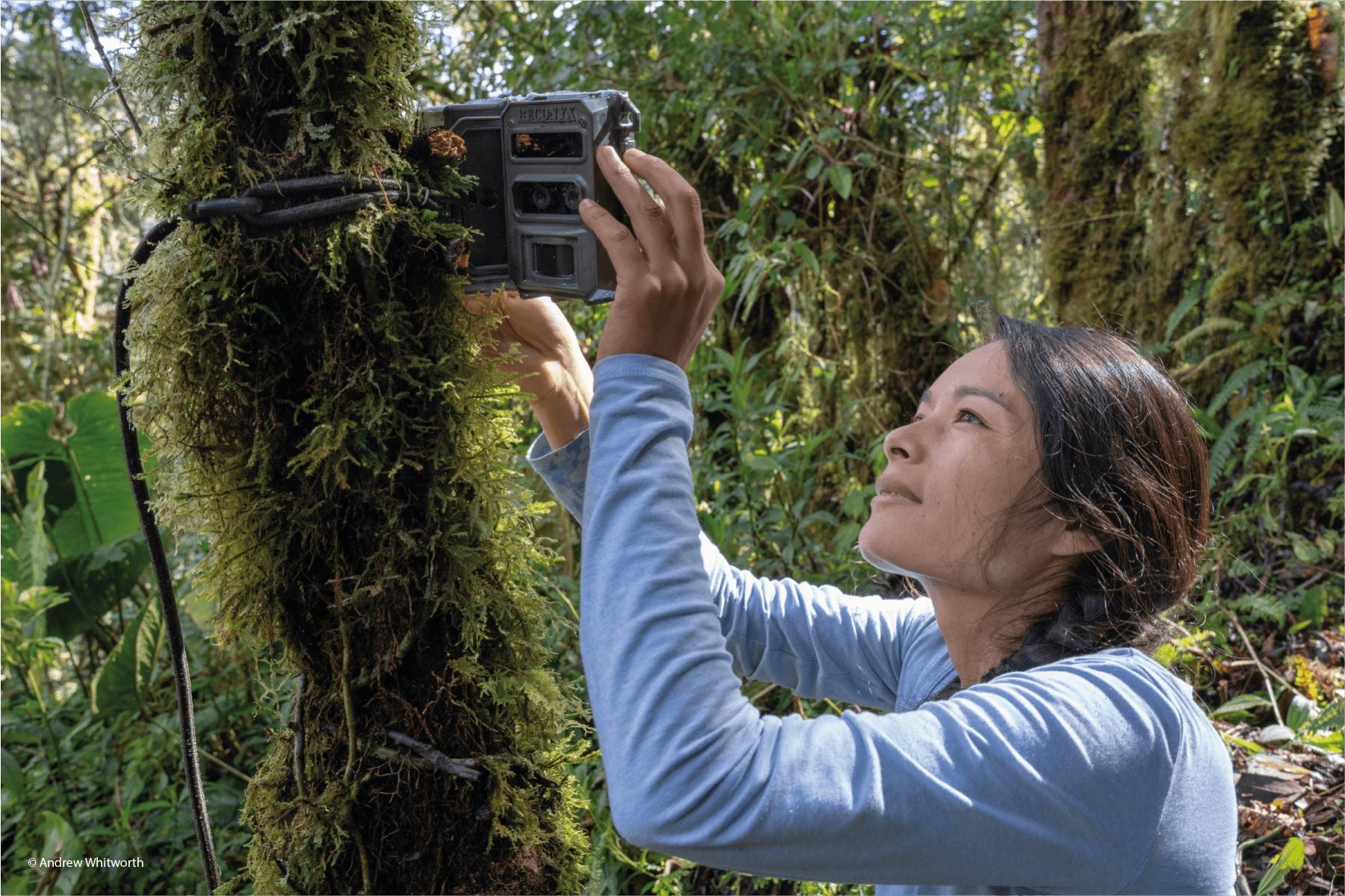 El 24 de octubre del 2024 en la ciudad de Nueva York, Ruthmery Pillco recibirá el premio "Women of Discovery 2024".  Foto:  organización peruana Conservación Amazónica-ACCA.