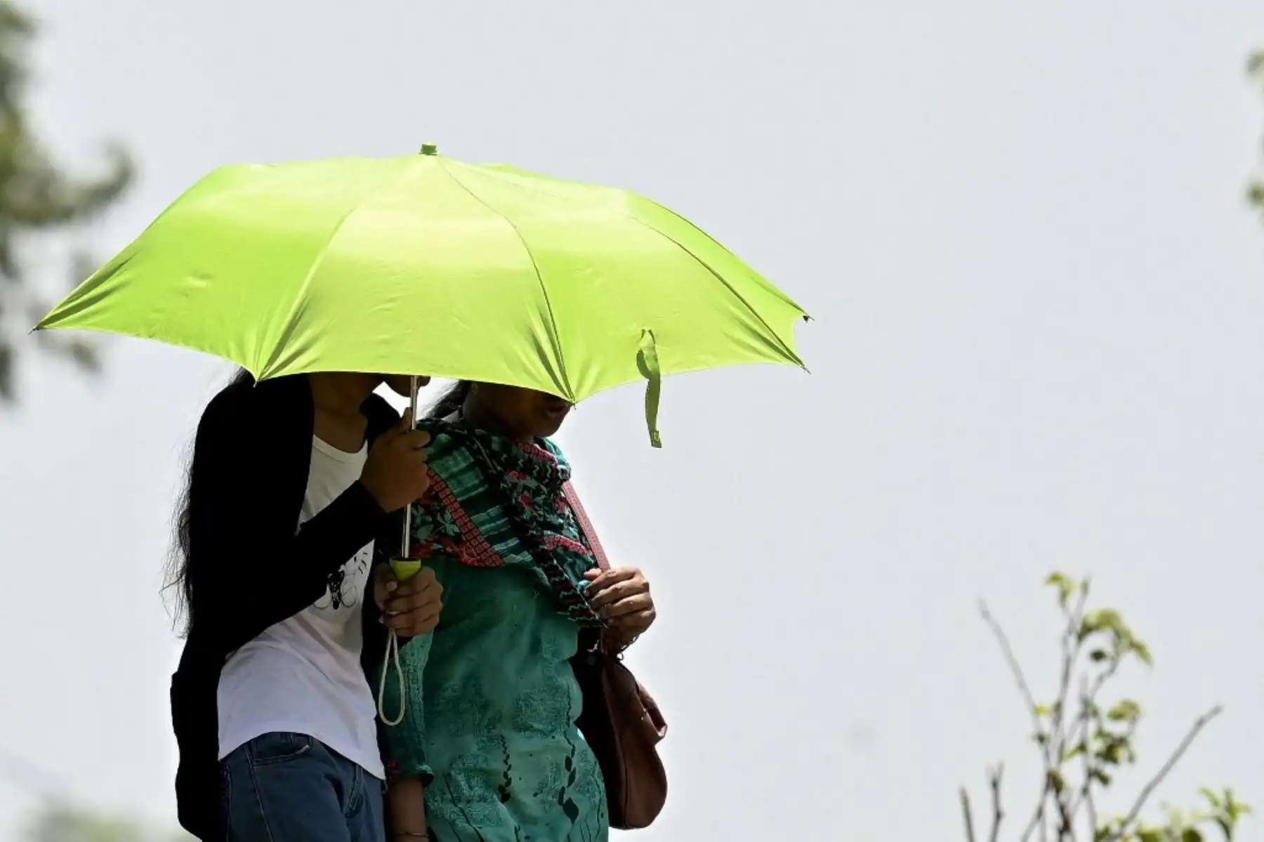 El Departamento Meteorológico de India, que informó de "severas condiciones de ola de calor", registró esta temperatura en el suburbio de Mungeshpur el miércoles por la tarde, superando por más de un grado el récord nacional anterior, registrado en el desierto de Rajastán. Foto: AFP