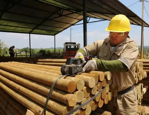 Más de 120 líderes innovadores se reúnen hoy miércoles 29 y mañana jueves 30 de mayo en Chachapoyas, en Amazonas, en el Encuentro de innovación regional para potenciar sectores productivos de cinco regiones del país. ANDINA/Difusión