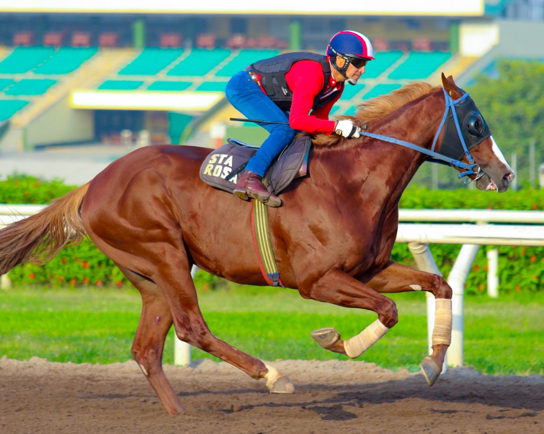 Los mejores caballos de todas las distancias estarán en el Jockey Fest 2024