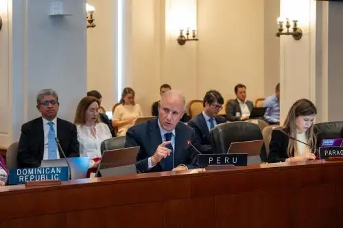 Javier González-Olaechea, canciller peruano, en la sesión del Consejo Permanente de la OEA: ANDINA/Difusión