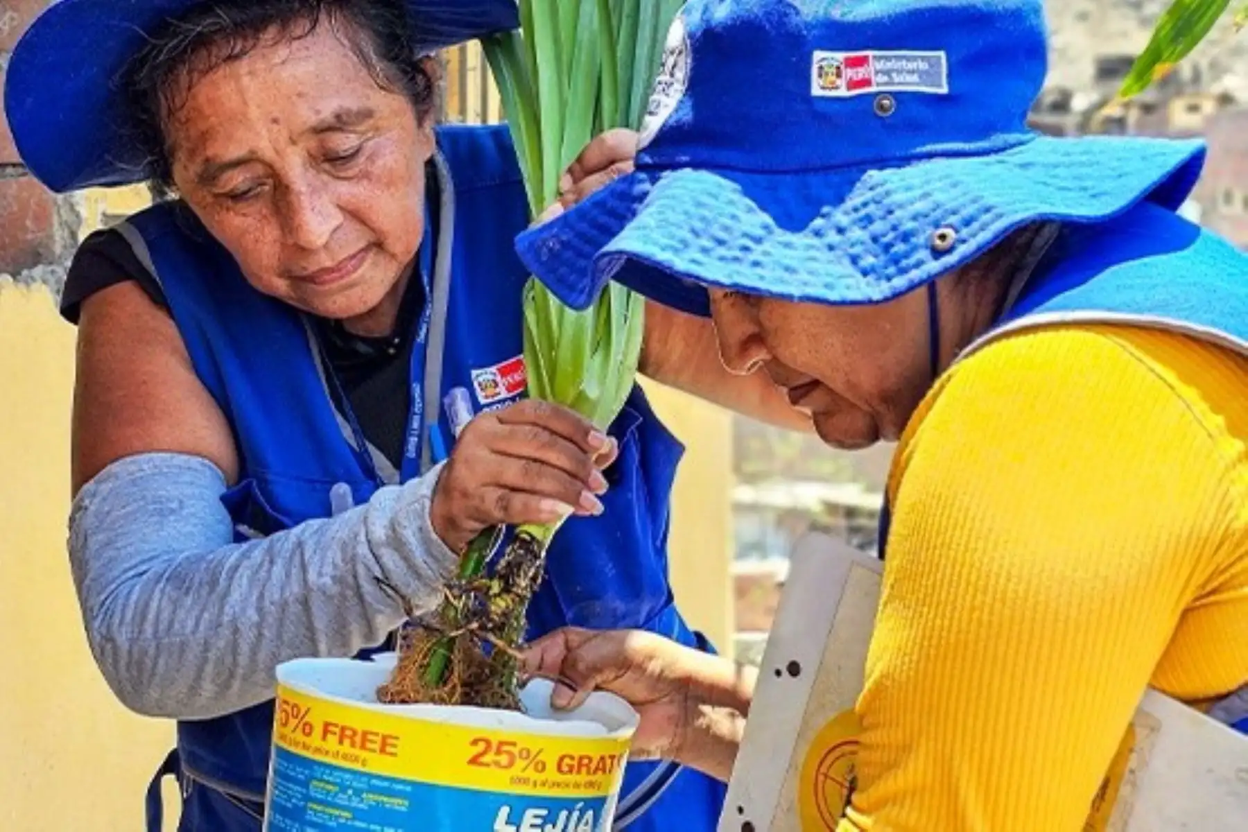 Dengue: intervendrán más de 260,000 viviendas para impedir ciclo de vida del zancudo. Foto: ANDINA/Difusión.