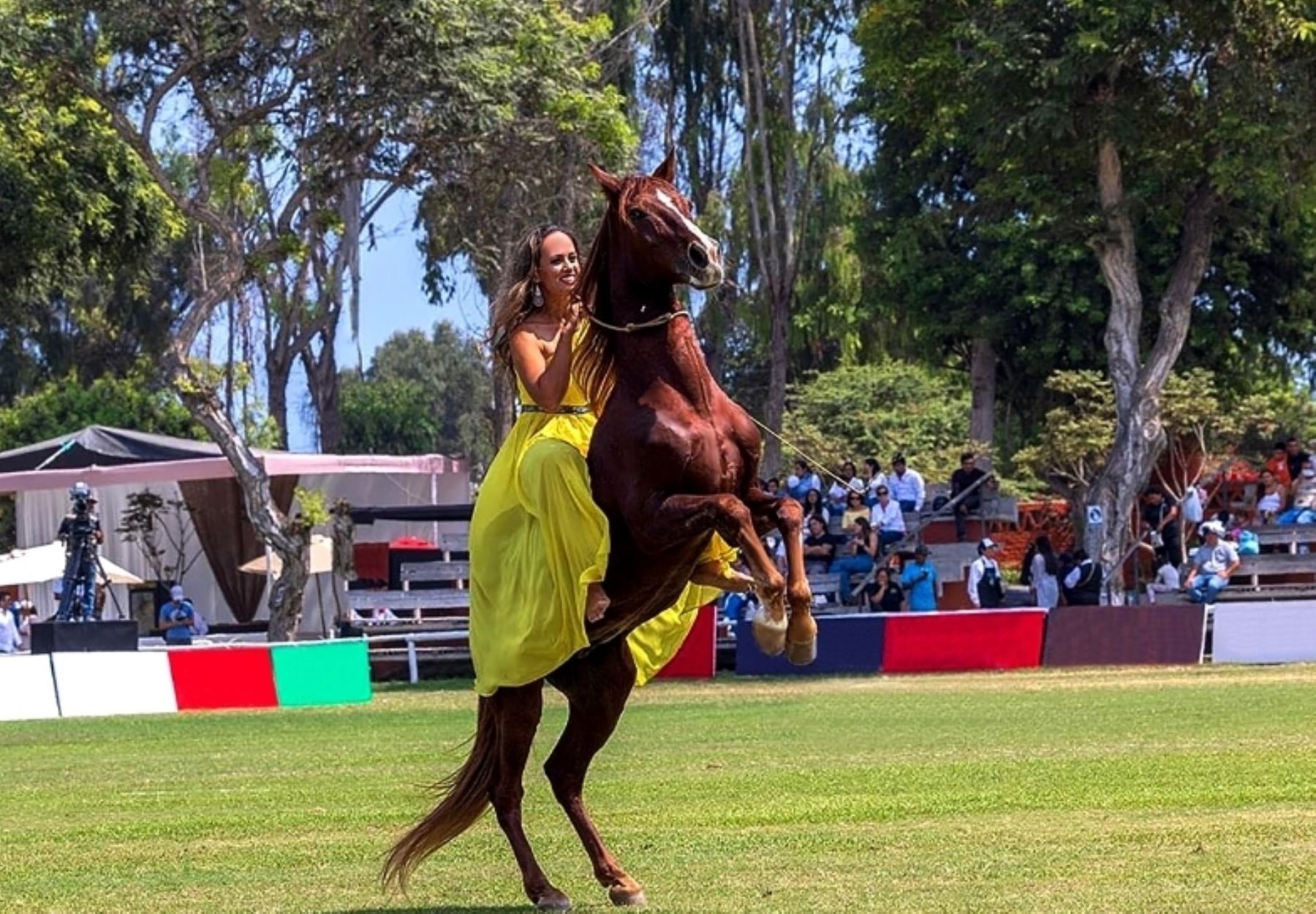 La Gran Noche del Caballo de Paso Peruano.