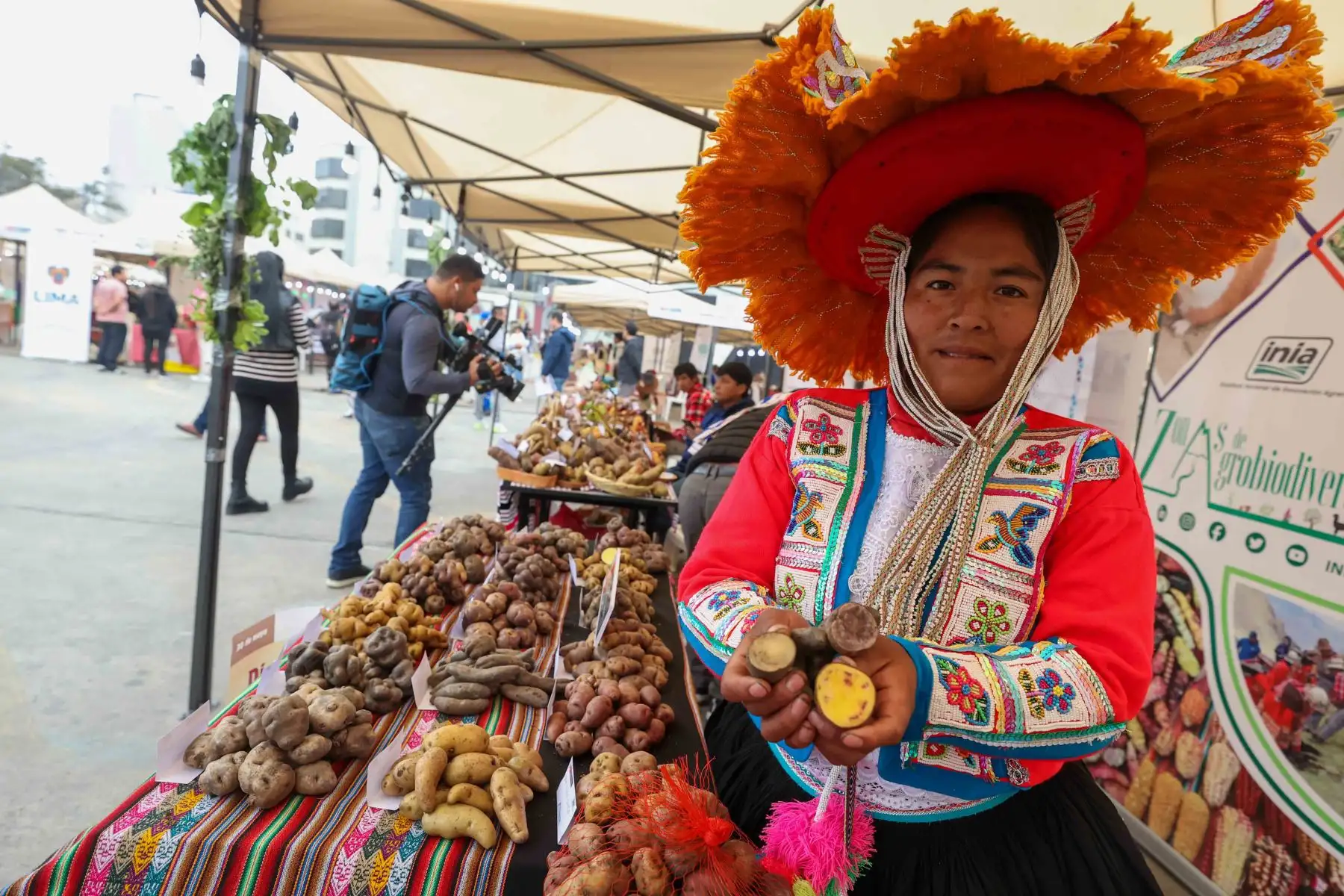 Perú celebra el Día Internacional de la Papa con feria de productores de 19 regiones llamada “Cosechando la biodiversidad, alimentando la esperanza”

Foto: ANDINA/Juan Carlos Guzmán Negrini