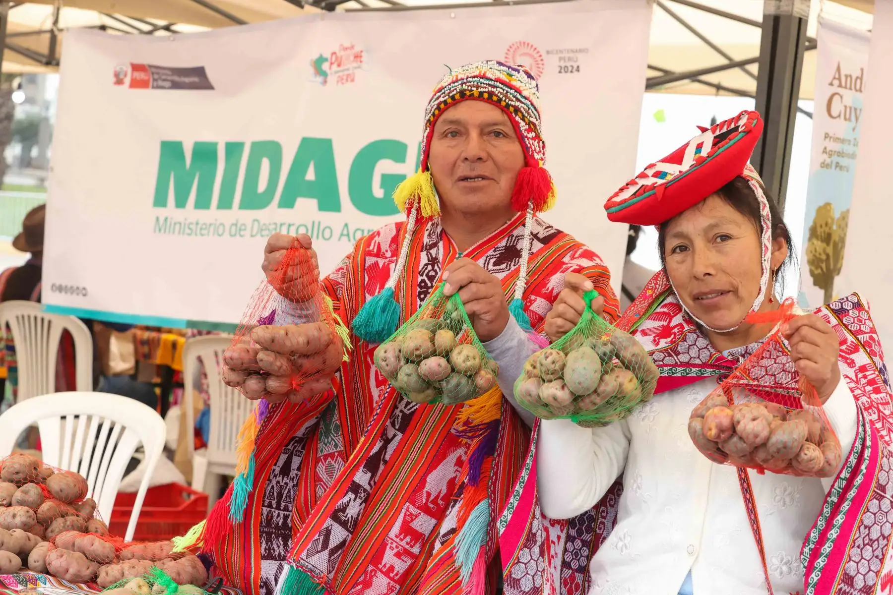 Perú celebra el Día Internacional de la Papa con feria de productores de 19 regiones llamada “Cosechando la biodiversidad, alimentando la esperanza”

Foto: ANDINA/Juan Carlos Guzmán Negrini