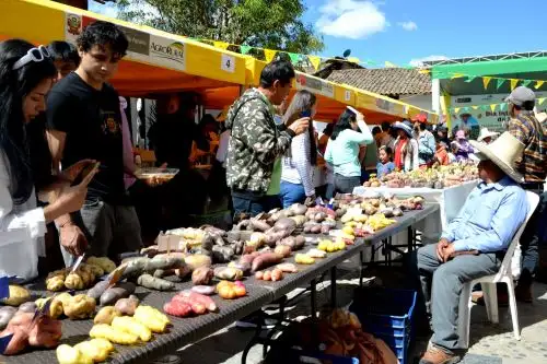 ANDINA/Difusión