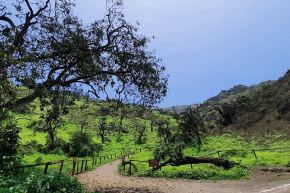 Reserva Nacional Lomas de Lachay es un paraíso natural ubicado en medio del desierto costero.