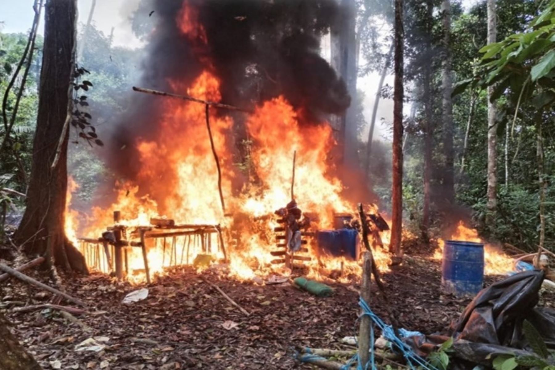 Intervención policial culminó con la destrucción de insumos e instalaciones para el procesamiento de droga en Ucayali. Foto: PNP/Difusión.