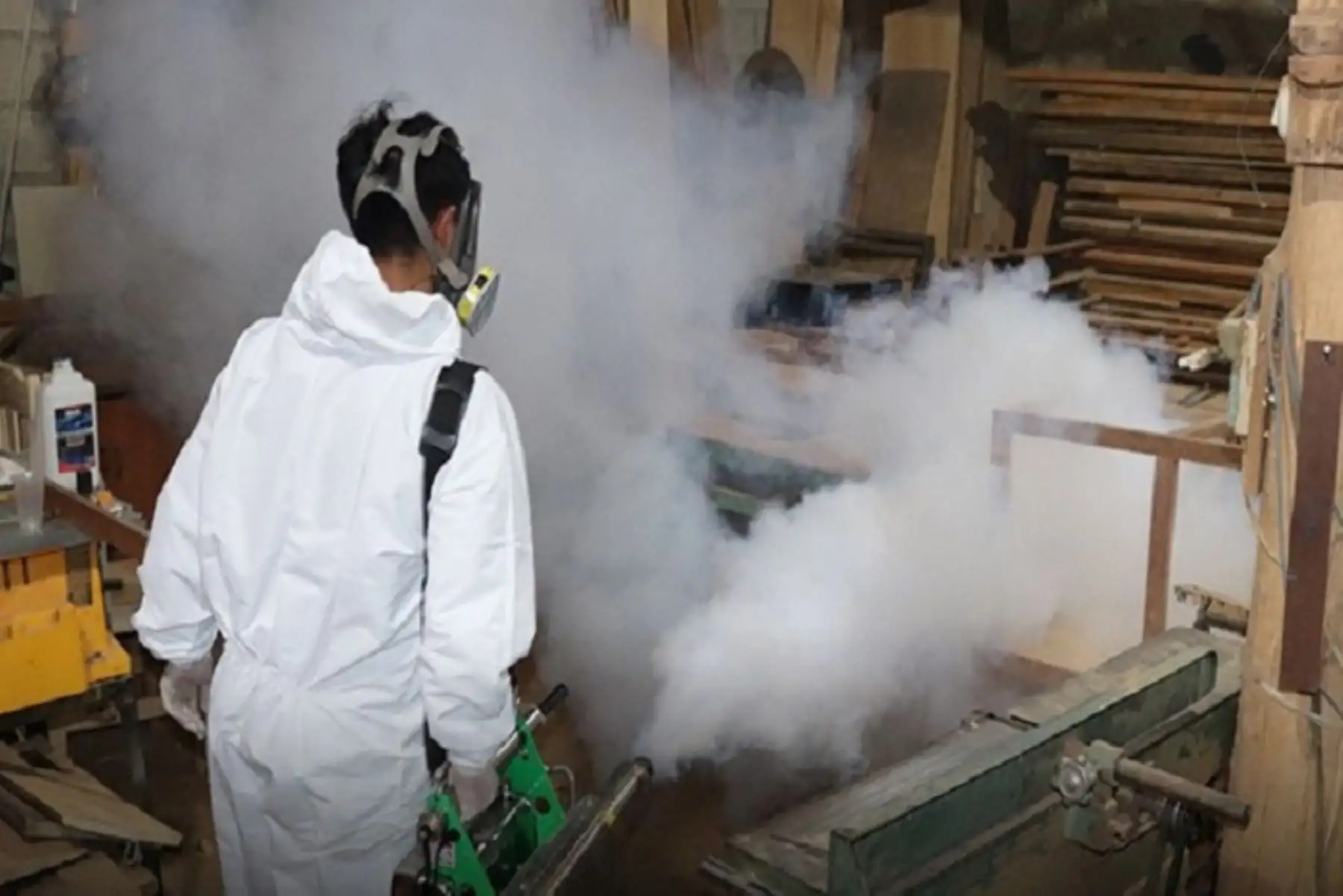 La mandataria agradeció profundamente a cada ciudadano por su contribución en la lucha contra el dengue, siguiendo las recomendaciones y cuidando de sus comunidades. ANDINA/Difusión