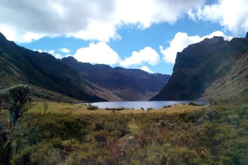 Piura: páramos andinos de Ayabaca y Huancabamba representan enorme potencial de desarrollo