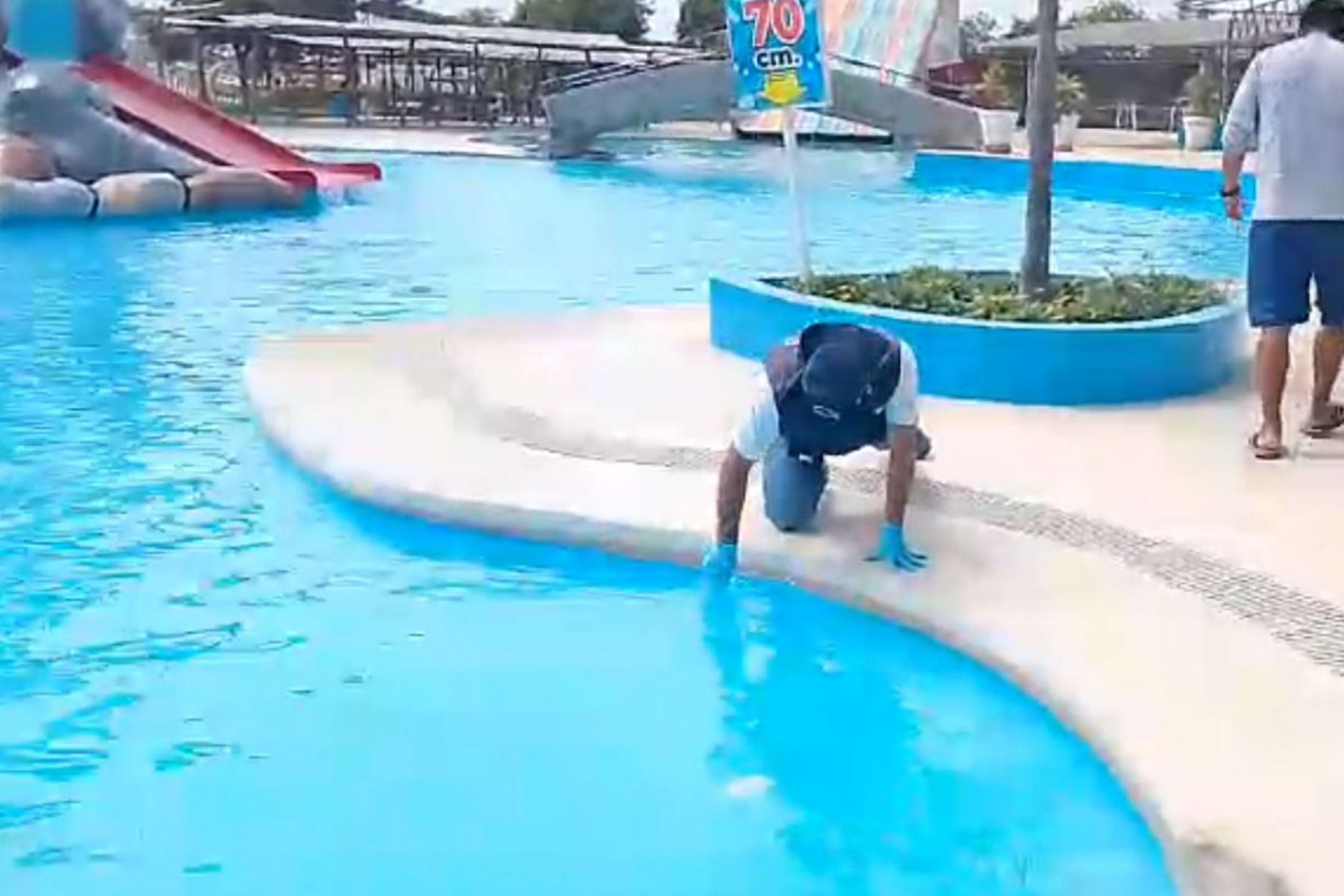 La Geresa Lambayeque exhortó a la población a acudir a una piscina que reúna todas las condiciones sanitarias para disminuir riesgos que afecten su salud. Foto: ANDINA/Difusión