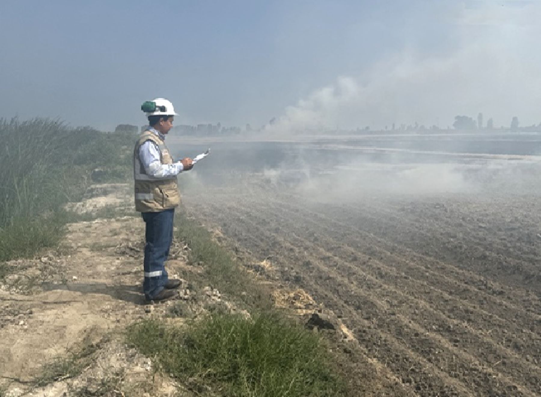 El OEFA envió un equipo de especialistas a la provincia de Islay, en Arequipa, para verificar la problemática ambiental generada por la quema de pajilla de arroz. ANDINA/Difusión