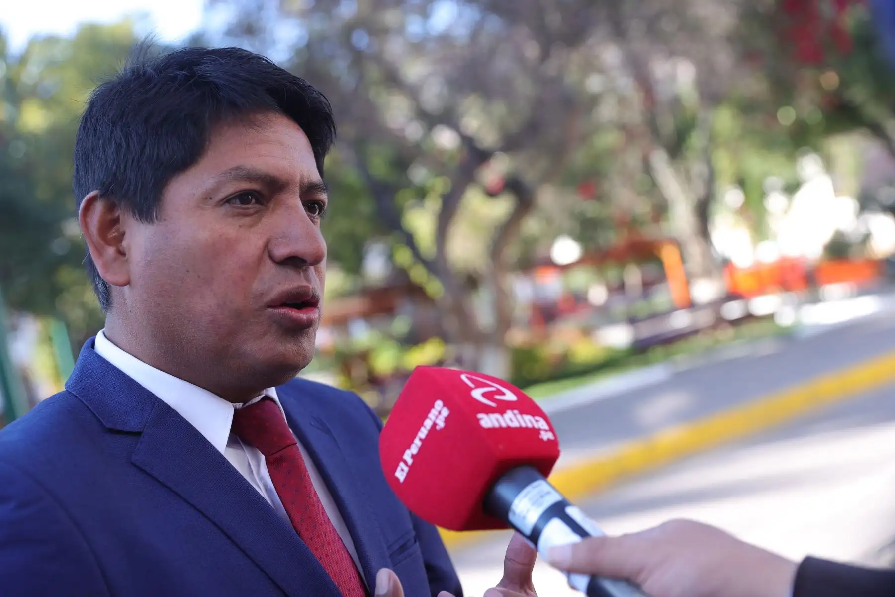 Foto: ANDINA/Melina Mejía.
