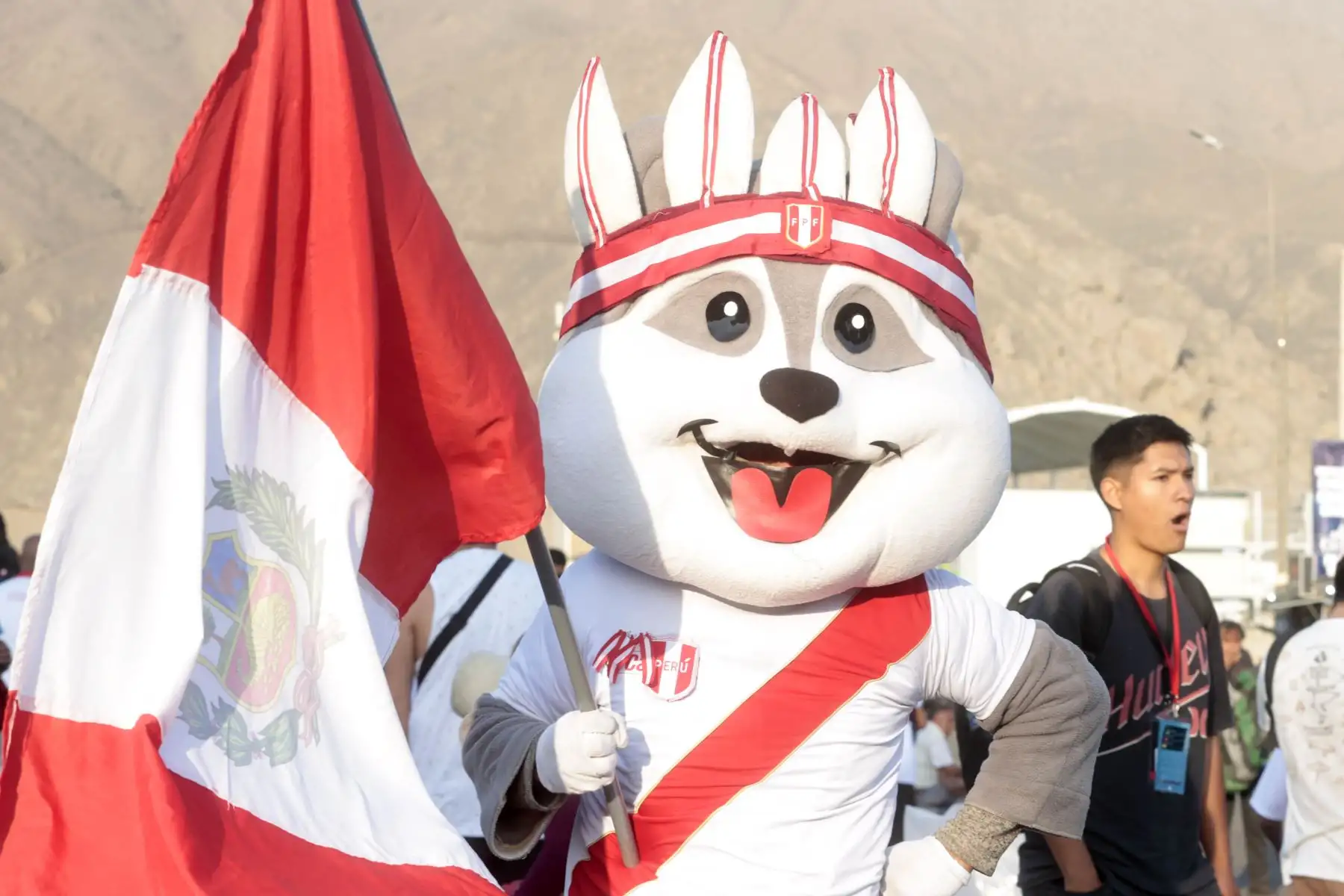 Hinchas de la selección llegan al estadio Monumental  para alentar a la selección nacional que se enfrenta hoy ante Paraguay. Foto: ANDINA/Vidal Tarqui